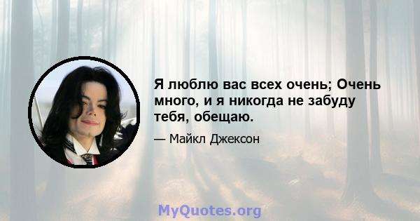 Я люблю вас всех очень; Очень много, и я никогда не забуду тебя, обещаю.