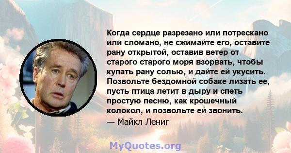 Когда сердце разрезано или потрескано или сломано, не сжимайте его, оставите рану открытой, оставив ветер от старого старого моря взорвать, чтобы купать рану солью, и дайте ей укусить. Позвольте бездомной собаке лизать