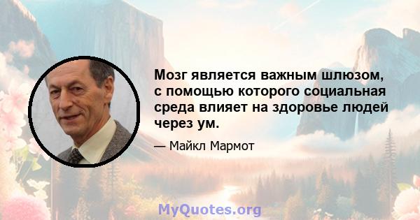 Мозг является важным шлюзом, с помощью которого социальная среда влияет на здоровье людей через ум.