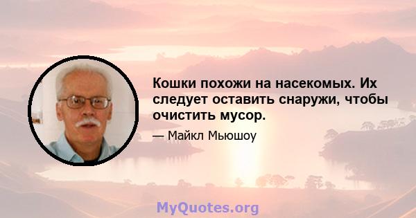 Кошки похожи на насекомых. Их следует оставить снаружи, чтобы очистить мусор.