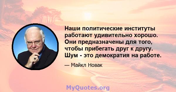 Наши политические институты работают удивительно хорошо. Они предназначены для того, чтобы прибегать друг к другу. Шум - это демократия на работе.