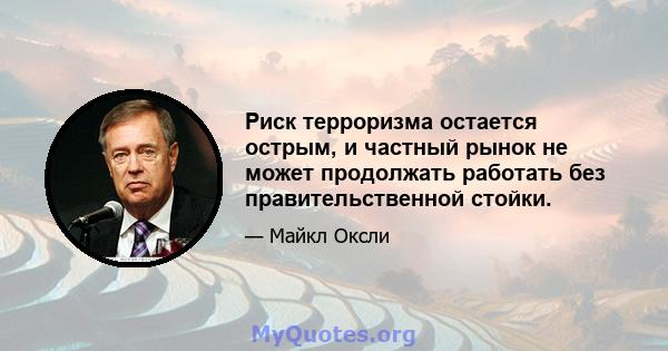 Риск терроризма остается острым, и частный рынок не может продолжать работать без правительственной стойки.