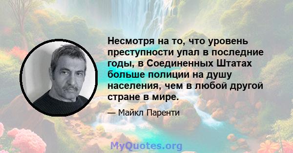 Несмотря на то, что уровень преступности упал в последние годы, в Соединенных Штатах больше полиции на душу населения, чем в любой другой стране в мире.