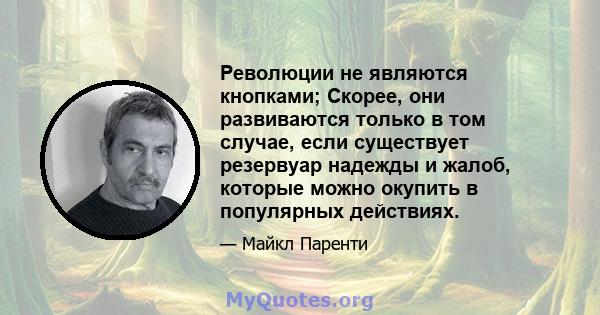 Революции не являются кнопками; Скорее, они развиваются только в том случае, если существует резервуар надежды и жалоб, которые можно окупить в популярных действиях.