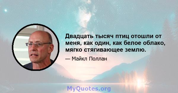 Двадцать тысяч птиц отошли от меня, как один, как белое облако, мягко стягивающее землю.