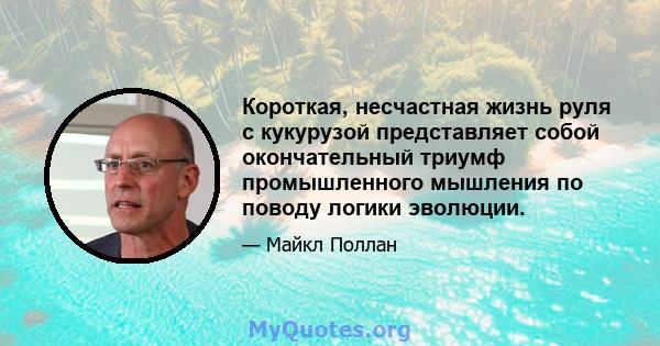 Короткая, несчастная жизнь руля с кукурузой представляет собой окончательный триумф промышленного мышления по поводу логики эволюции.