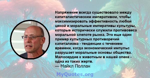 Напряжение всегда существовало между капиталистическим императивом, чтобы максимизировать эффективность любой ценой и моральные императивы культуры, которые исторически служили противовеса моральной слепоте рынка. Это