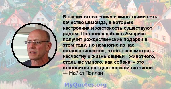 В наших отношениях с животными есть качество шизоида, в которых настроения и жестокость существуют рядом. Половина собак в Америке получит рождественские подарки в этом году, но немногие из нас останавливаются, чтобы