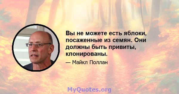 Вы не можете есть яблоки, посаженные из семян. Они должны быть привиты, клонированы.