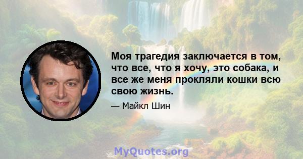 Моя трагедия заключается в том, что все, что я хочу, это собака, и все же меня прокляли кошки всю свою жизнь.