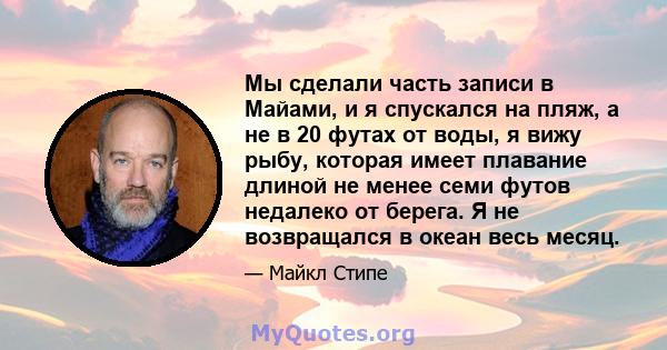 Мы сделали часть записи в Майами, и я спускался на пляж, а не в 20 футах от воды, я вижу рыбу, которая имеет плавание длиной не менее семи футов недалеко от берега. Я не возвращался в океан весь месяц.