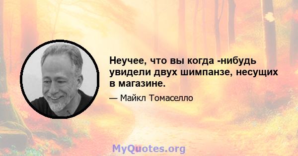 Неучее, что вы когда -нибудь увидели двух шимпанзе, несущих в магазине.