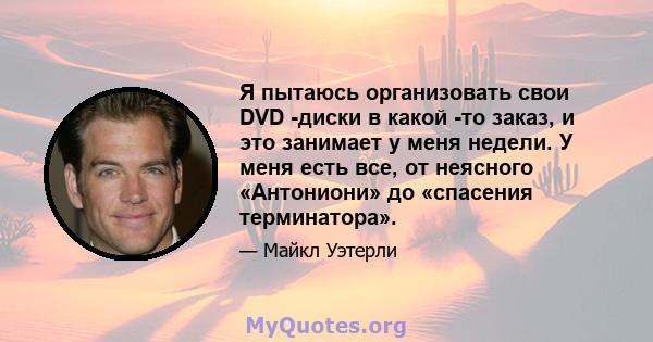 Я пытаюсь организовать свои DVD -диски в какой -то заказ, и это занимает у меня недели. У меня есть все, от неясного «Антониони» до «спасения терминатора».