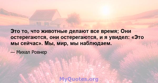 Это то, что животные делают все время; Они остерегаются, они остерегаются, и я увидел: «Это мы сейчас». Мы, мир, мы наблюдаем.