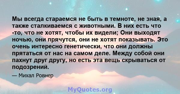 Мы всегда стараемся не быть в темноте, не зная, а также сталкиваемся с животными. В них есть что -то, что не хотят, чтобы их видели; Они выходят ночью, они прячутся, они не хотят показывать. Это очень интересно