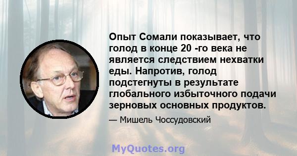 Опыт Сомали показывает, что голод в конце 20 -го века не является следствием нехватки еды. Напротив, голод подстегнуты в результате глобального избыточного подачи зерновых основных продуктов.