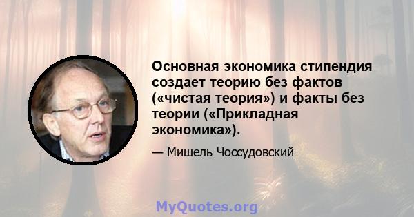 Основная экономика стипендия создает теорию без фактов («чистая теория») и факты без теории («Прикладная экономика»).