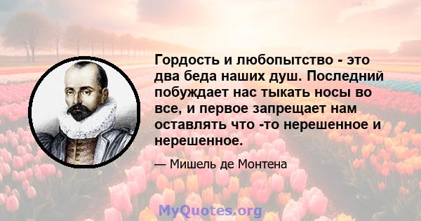 Гордость и любопытство - это два беда наших душ. Последний побуждает нас тыкать носы во все, и первое запрещает нам оставлять что -то нерешенное и нерешенное.