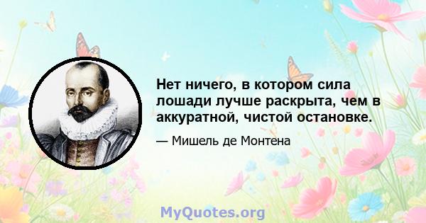 Нет ничего, в котором сила лошади лучше раскрыта, чем в аккуратной, чистой остановке.