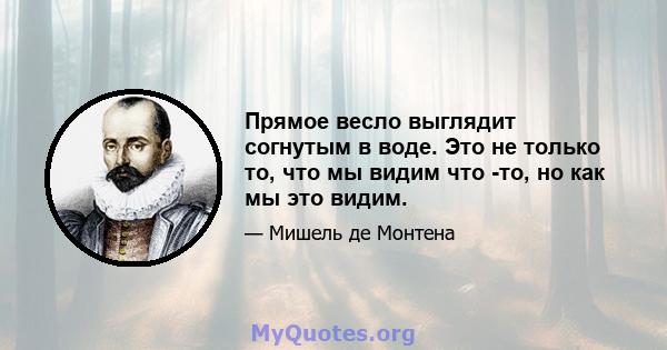 Прямое весло выглядит согнутым в воде. Это не только то, что мы видим что -то, но как мы это видим.