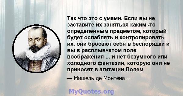 Так что это с умами. Если вы не заставите их заняться каким -то определенным предметом, который будет ослаблять и контролировать их, они бросают себя в беспорядки и вы в расплывчатом поле воображения ... и нет безумного 