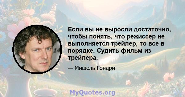 Если вы не выросли достаточно, чтобы понять, что режиссер не выполняется трейлер, то все в порядке. Судить фильм из трейлера.