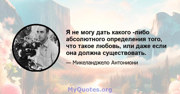 Я не могу дать какого -либо абсолютного определения того, что такое любовь, или даже если она должна существовать.