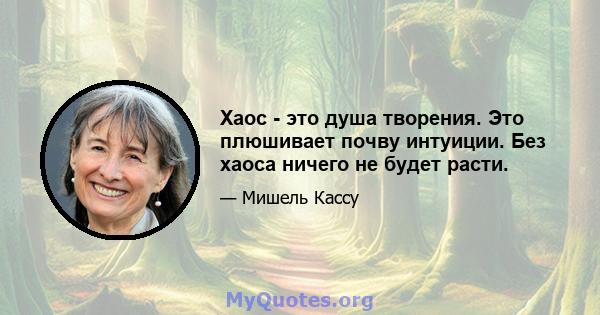 Хаос - это душа творения. Это плюшивает почву интуиции. Без хаоса ничего не будет расти.