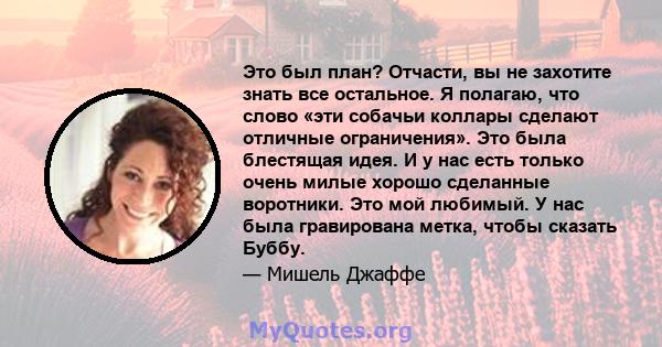 Это был план? Отчасти, вы не захотите знать все остальное. Я полагаю, что слово «эти собачьи коллары сделают отличные ограничения». Это была блестящая идея. И у нас есть только очень милые хорошо сделанные воротники.