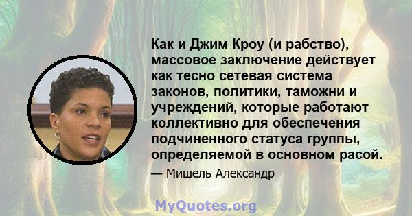 Как и Джим Кроу (и рабство), массовое заключение действует как тесно сетевая система законов, политики, таможни и учреждений, которые работают коллективно для обеспечения подчиненного статуса группы, определяемой в