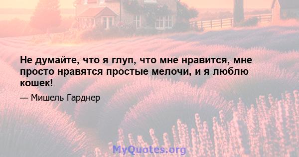 Не думайте, что я глуп, что мне нравится, мне просто нравятся простые мелочи, и я люблю кошек!