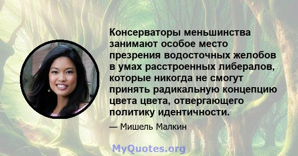 Консерваторы меньшинства занимают особое место презрения водосточных желобов в умах расстроенных либералов, которые никогда не смогут принять радикальную концепцию цвета цвета, отвергающего политику идентичности.