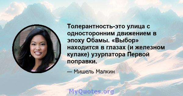 Толерантность-это улица с односторонним движением в эпоху Обамы. «Выбор» находится в глазах (и железном кулаке) узурпатора Первой поправки.