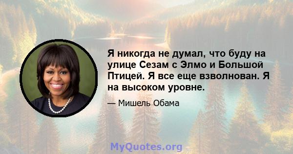 Я никогда не думал, что буду на улице Сезам с Элмо и Большой Птицей. Я все еще взволнован. Я на высоком уровне.