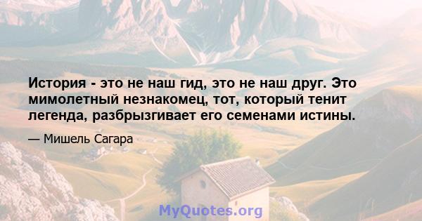 История - это не наш гид, это не наш друг. Это мимолетный незнакомец, тот, который тенит легенда, разбрызгивает его семенами истины.