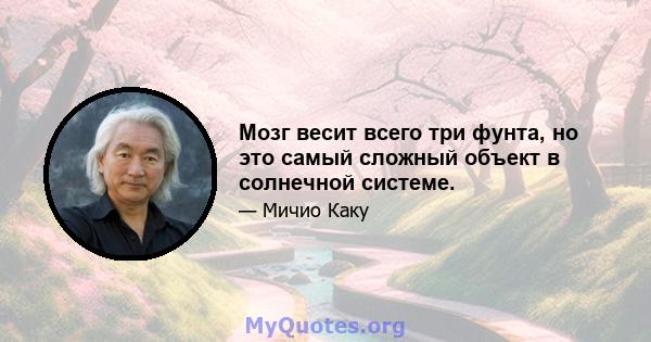 Мозг весит всего три фунта, но это самый сложный объект в солнечной системе.