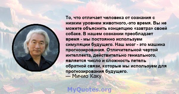 То, что отличает человека от сознания с низким уровнем животного,-это время. Вы не можете объяснить концепцию «завтра» своей собаке. В нашем сознании преобладает время - мы постоянно используем симуляции будущего. Наш