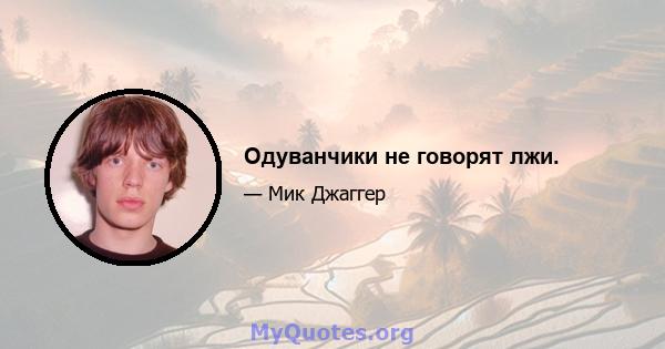 Одуванчики не говорят лжи.