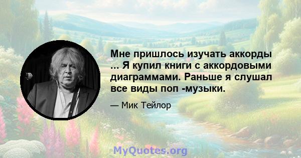 Мне пришлось изучать аккорды ... Я купил книги с аккордовыми диаграммами. Раньше я слушал все виды поп -музыки.