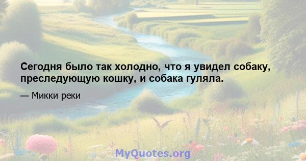 Сегодня было так холодно, что я увидел собаку, преследующую кошку, и собака гуляла.