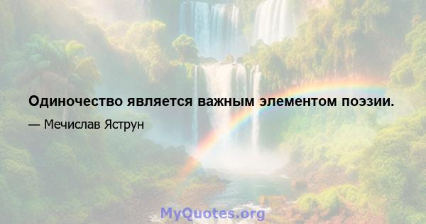 Одиночество является важным элементом поэзии.