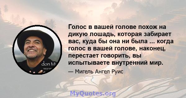 Голос в вашей голове похож на дикую лошадь, которая забирает вас, куда бы она ни была ... когда голос в вашей голове, наконец, перестает говорить, вы испытываете внутренний мир.