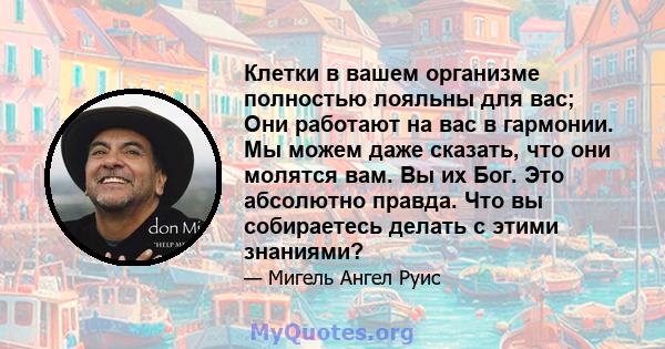 Клетки в вашем организме полностью лояльны для вас; Они работают на вас в гармонии. Мы можем даже сказать, что они молятся вам. Вы их Бог. Это абсолютно правда. Что вы собираетесь делать с этими знаниями?