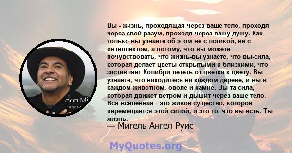 Вы - жизнь, проходящая через ваше тело, проходя через свой разум, проходя через вашу душу. Как только вы узнаете об этом не с логикой, не с интеллектом, а потому, что вы можете почувствовать, что жизнь-вы узнаете, что