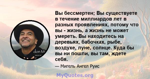 Вы бессмертен; Вы существуете в течение миллиардов лет в разных проявлениях, потому что вы - жизнь, а жизнь не может умереть. Вы находитесь на деревьях, бабочках, рыбе, воздухе, луне, солнце. Куда бы вы ни пошли, вы