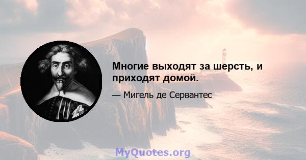 Многие выходят за шерсть, и приходят домой.