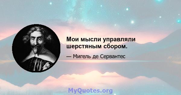 Мои мысли управляли шерстяным сбором.