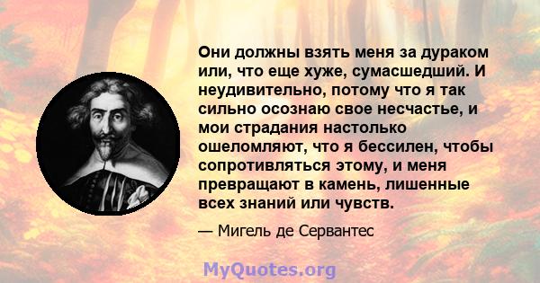 Они должны взять меня за дураком или, что еще хуже, сумасшедший. И неудивительно, потому что я так сильно осознаю свое несчастье, и мои страдания настолько ошеломляют, что я бессилен, чтобы сопротивляться этому, и меня