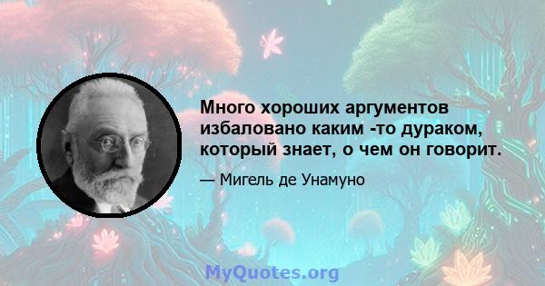 Много хороших аргументов избаловано каким -то дураком, который знает, о чем он говорит.