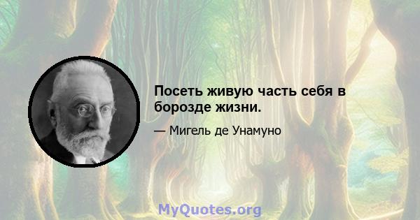 Посеть живую часть себя в борозде жизни.